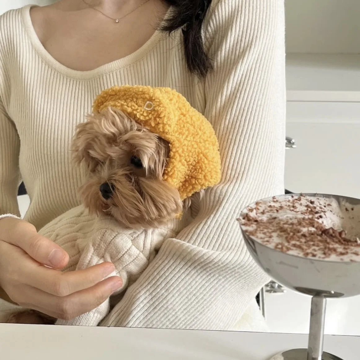 Gorro con Capucha para Perros Pequeños – Cálido y Suave de Felpa - imagen 5
