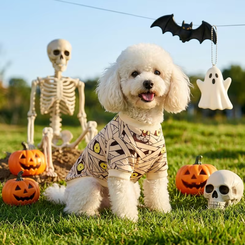 Disfraz Momia Halloween para Perro y Gato - imagen 5