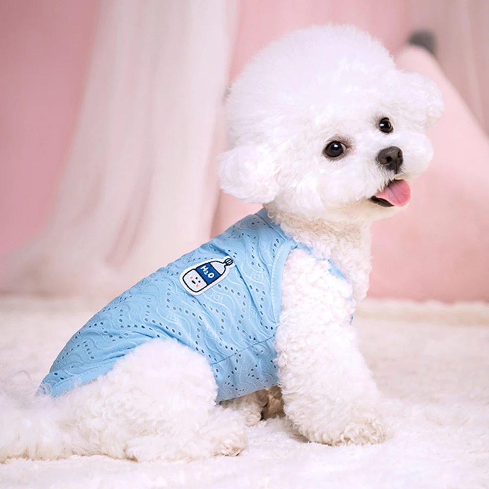 Camiseta verano malla para perros y gatos pequeños – Caniche Maltés - imagen 4