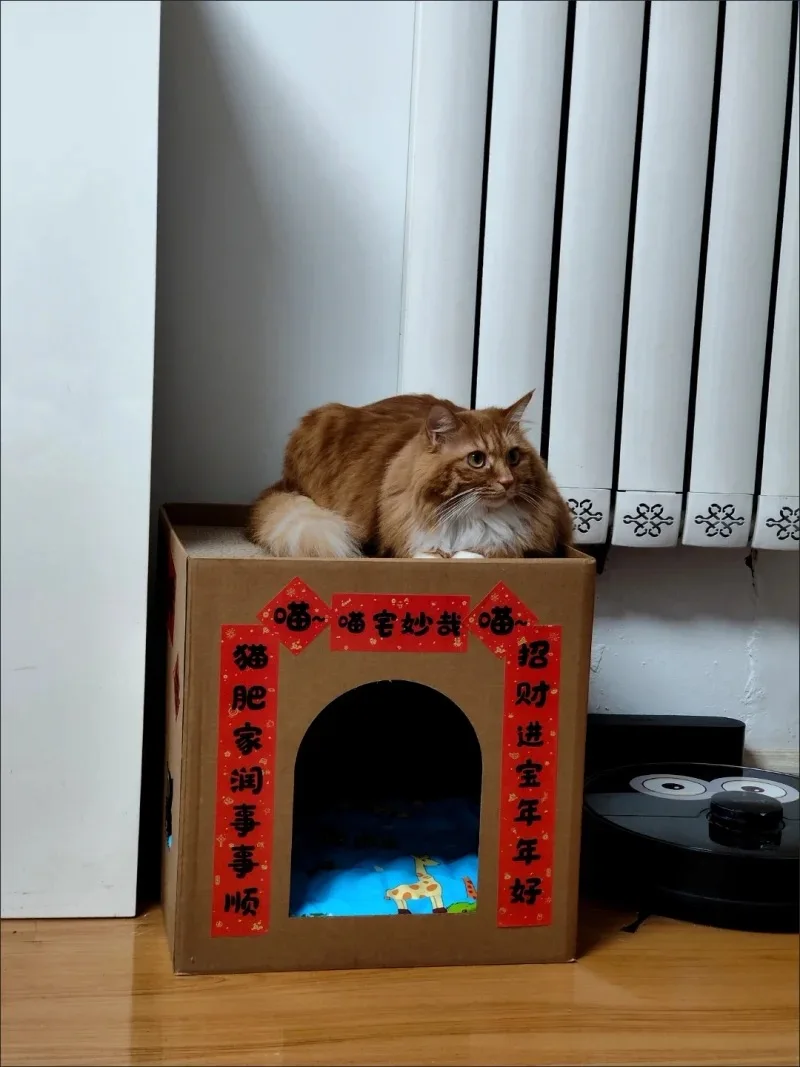 Gato usando el rascador de cartón