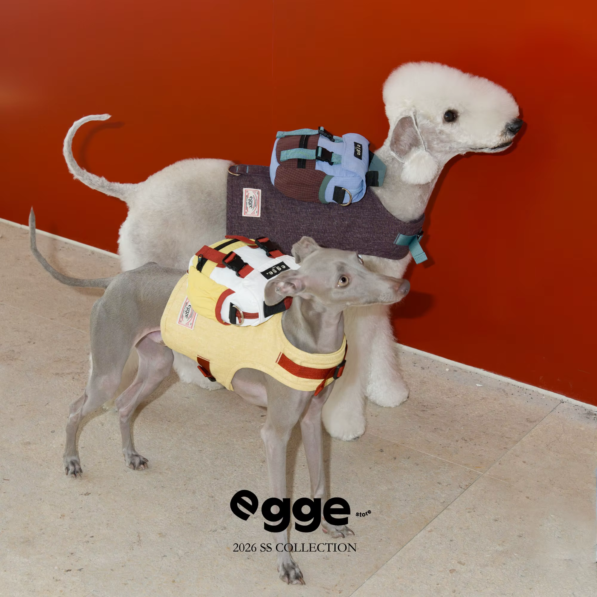Arnés con mochila para perros pequeños como Galgo Italiano - imagen 2