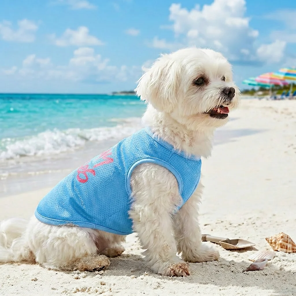 Chaleco en color rosa con estampado VACAY VIBES