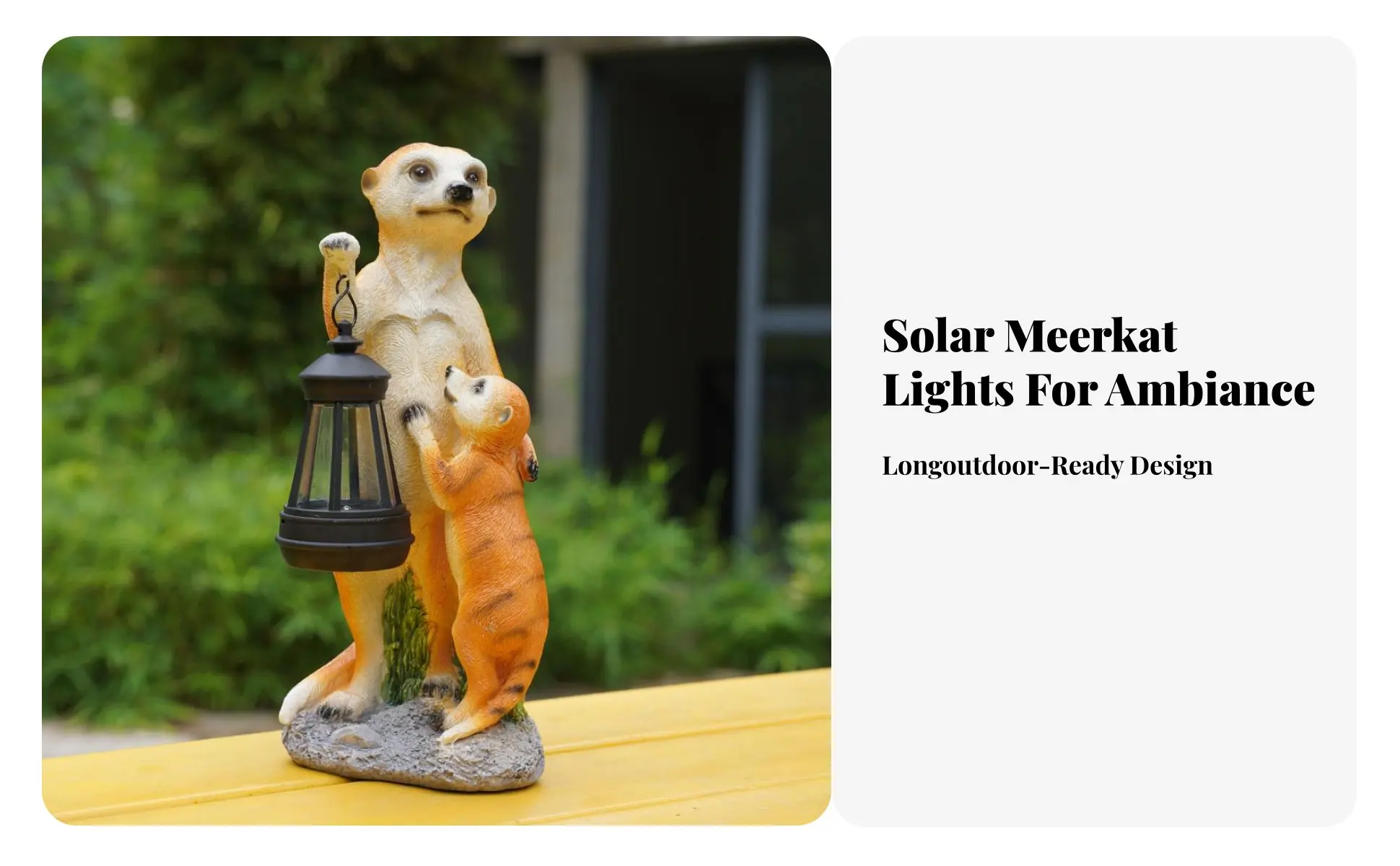 Luz cálida nocturna Meerkat