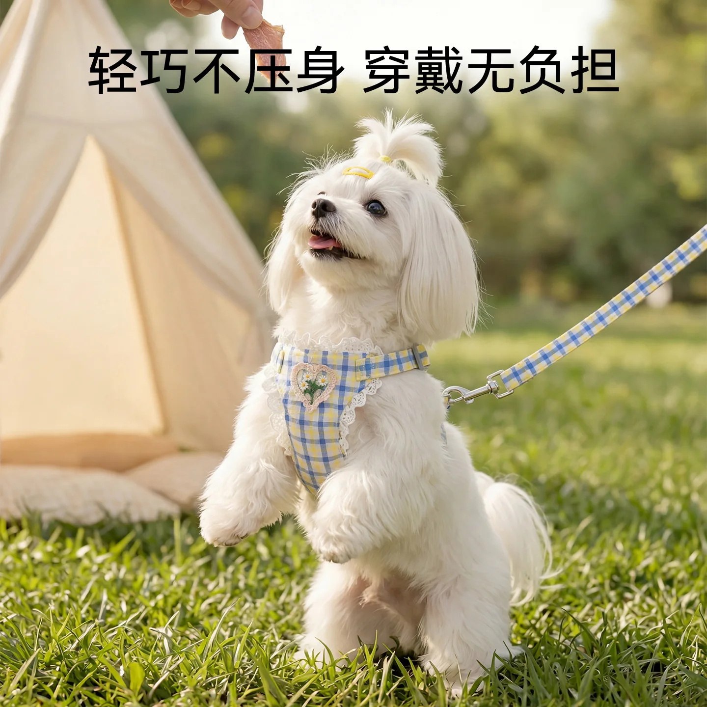 Arnés de pecho Teddy con correa para pasear perros pequeños - imagen 2