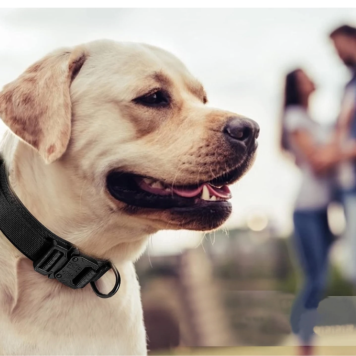 Collar táctico negro con hebilla metálica