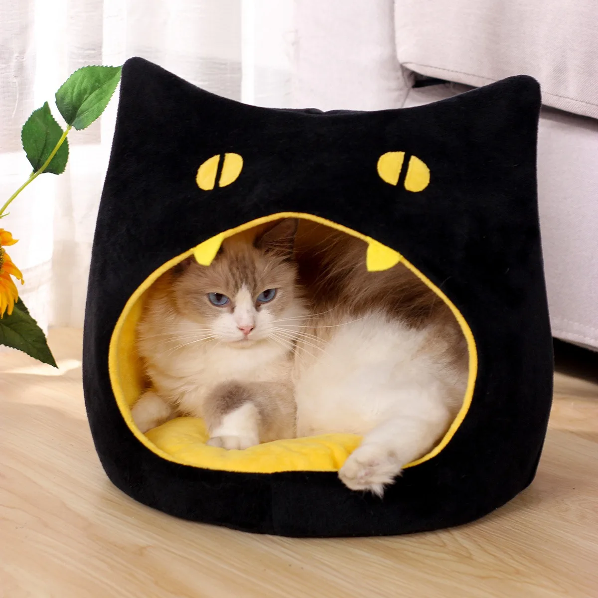 Cama BeiYu Pet - interior