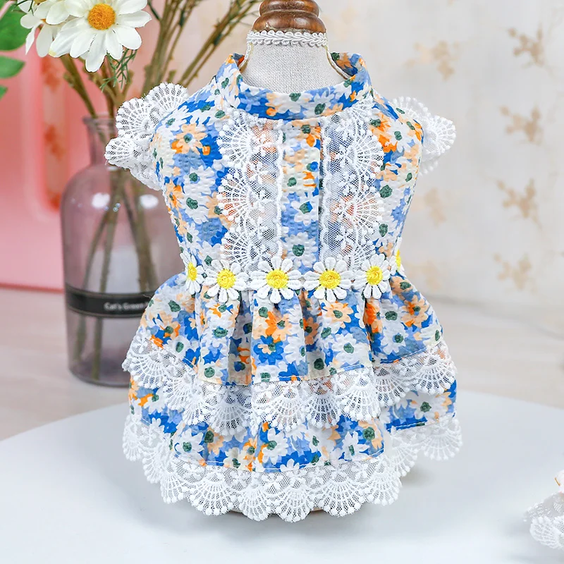 Gato Sphynx con vestido floral