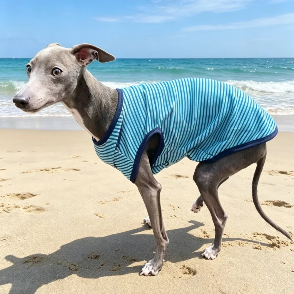 Camiseta a rayas para perros de primavera