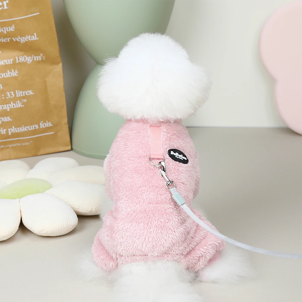 Perro pequeño con suéter