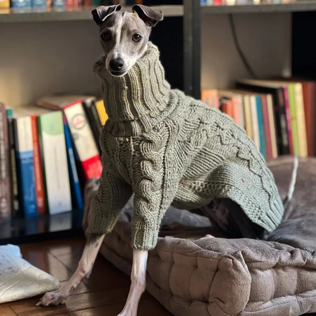 Jersey whippet en color gris