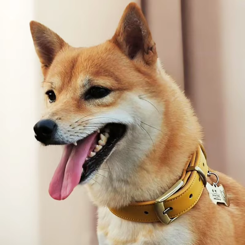 Collar de cuero real para perros – Ajustable antitiro para paseos - imagen 4