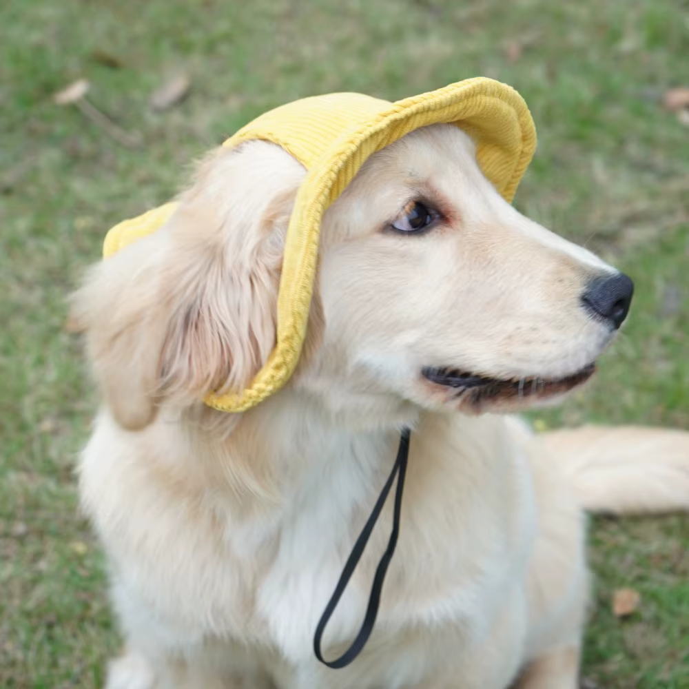 Sombrero solar veraniego para perros pequeños – Gorro de pana - imagen 2