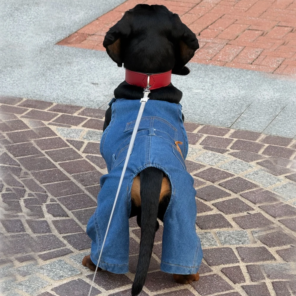 Pantalón vaquero fino de tirantes ajustable para perros salchicha - imagen 5