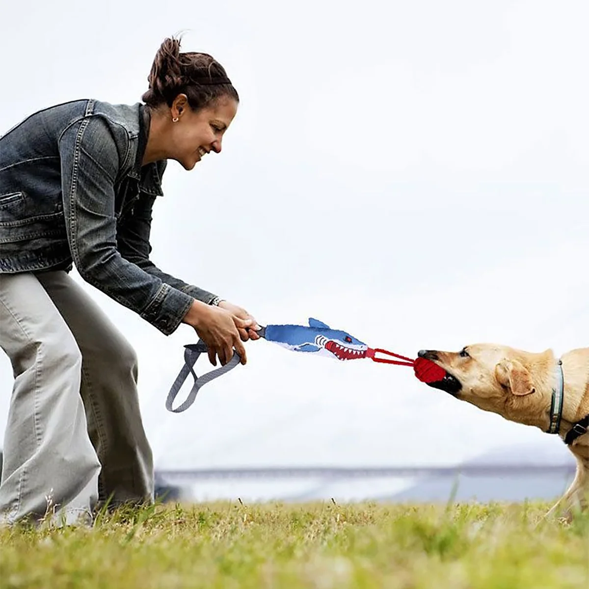 Detalle de nudos de cuerda del juguete para perros