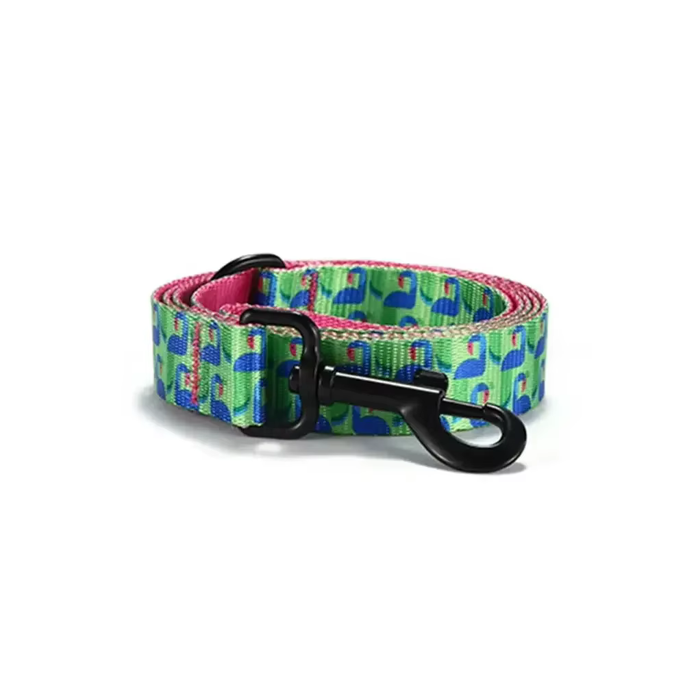 Collar estampado y colorido