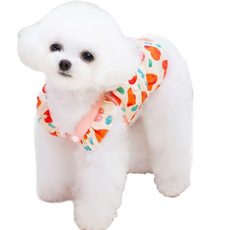 Prenda con capucha y estampado para verano