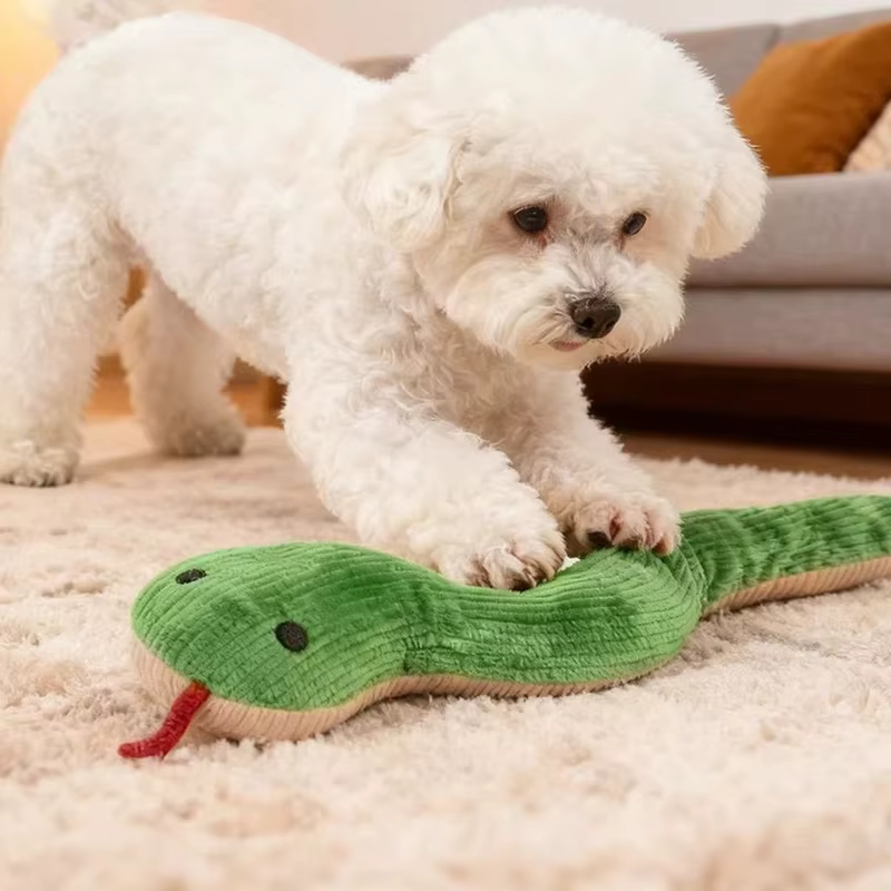 Juguete llamativo para estimular a mascotas de interior