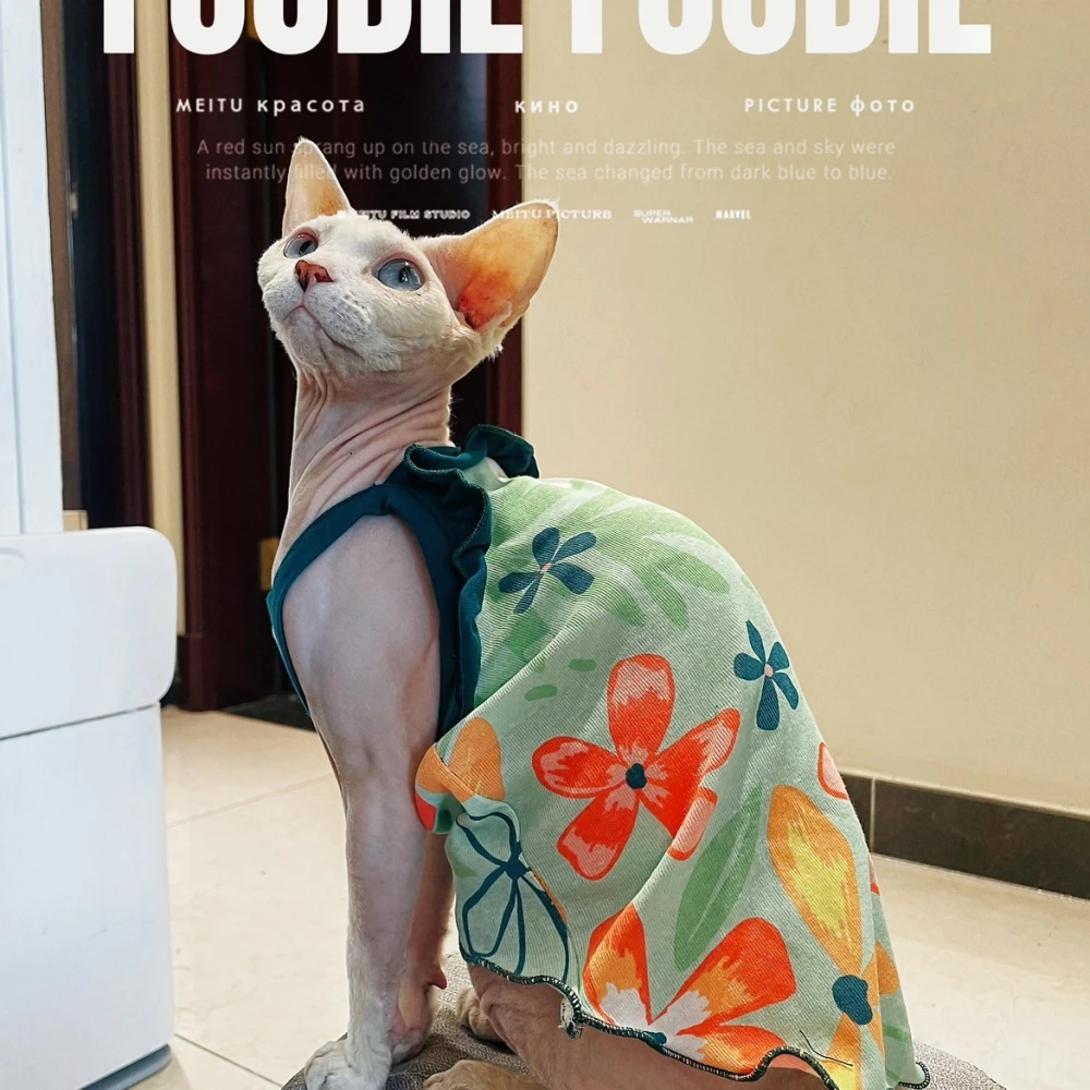 Tabla de tallas del vestido para gato