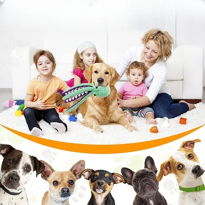 Accesorio para perros de todas las tallas