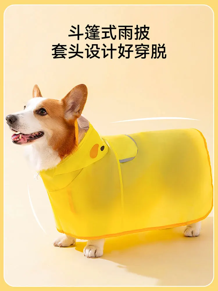 Perro usando el poncho en diferentes tallas