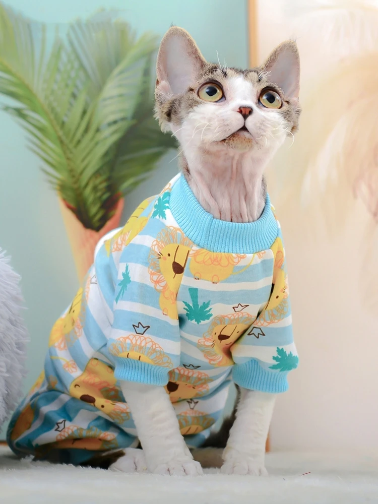 Gato feliz