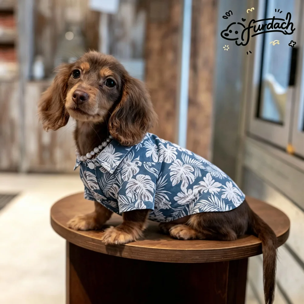 Ropa para perros Dachshund: camisa algodón vacacional con hojas