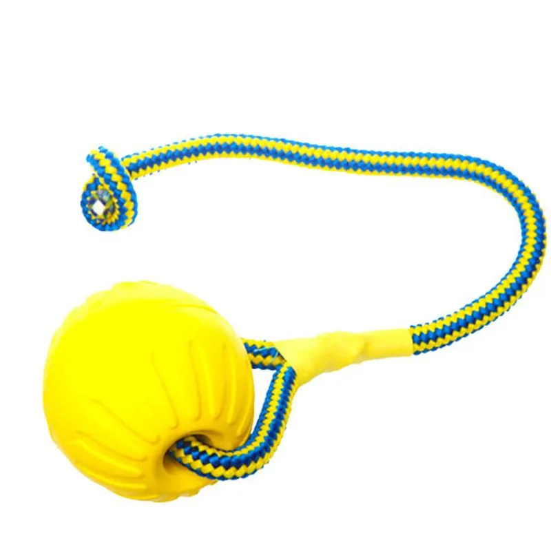 Juguete durable perros todas tallas