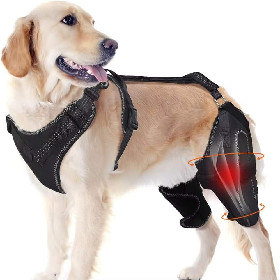 Soporte ajustable para patas traseras de perros – Funda protectora para articulaciones - imagen 3