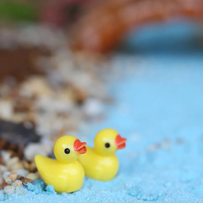 Patito amarillo decorando un micropaisaje de acuario
