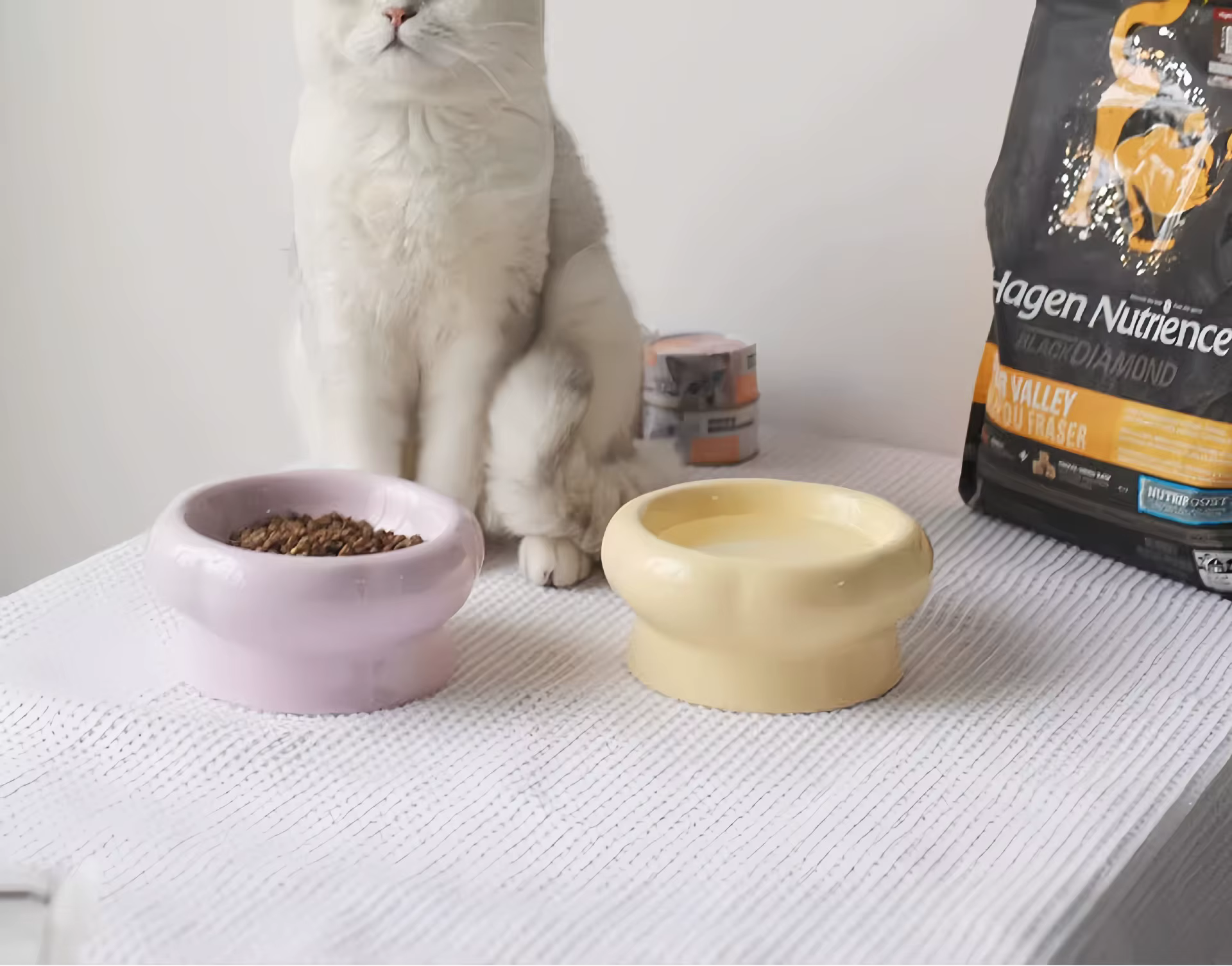 Tazón de cerámica elevado con forma de flor para gatos