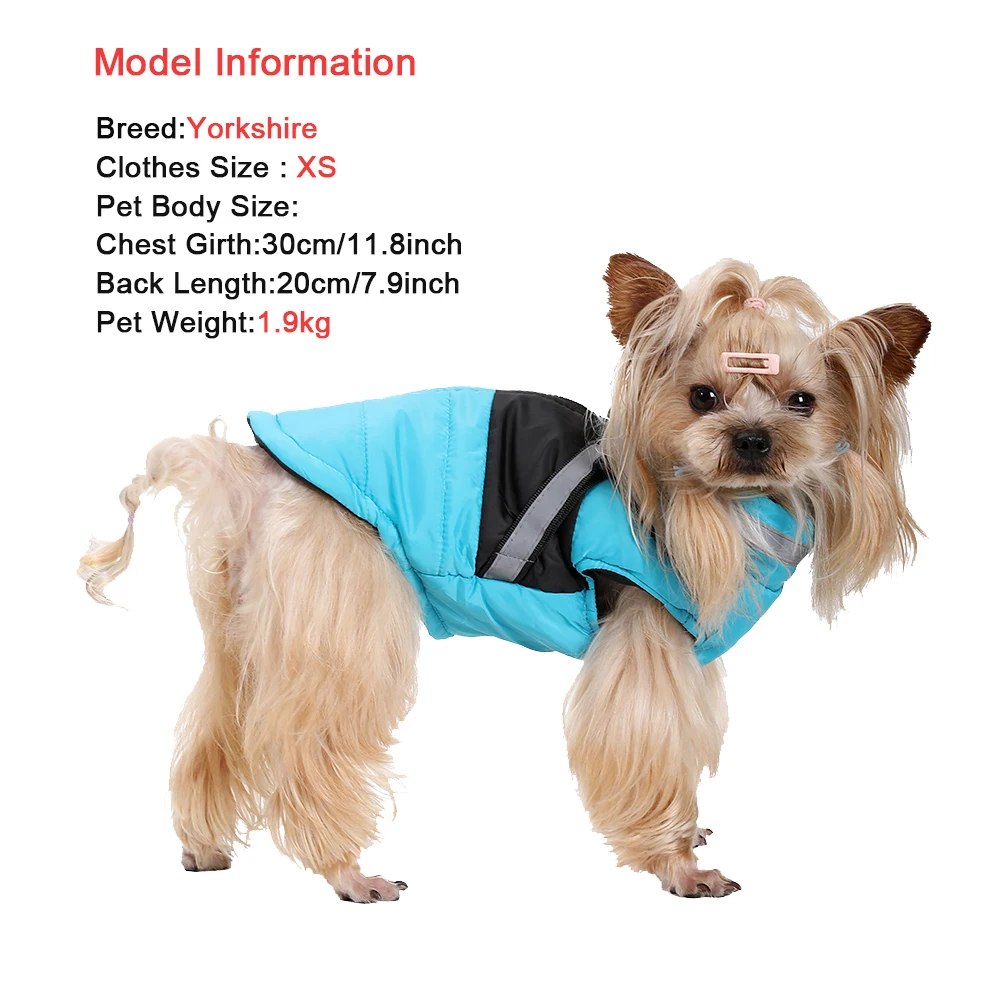 Perro con chaqueta Holapet