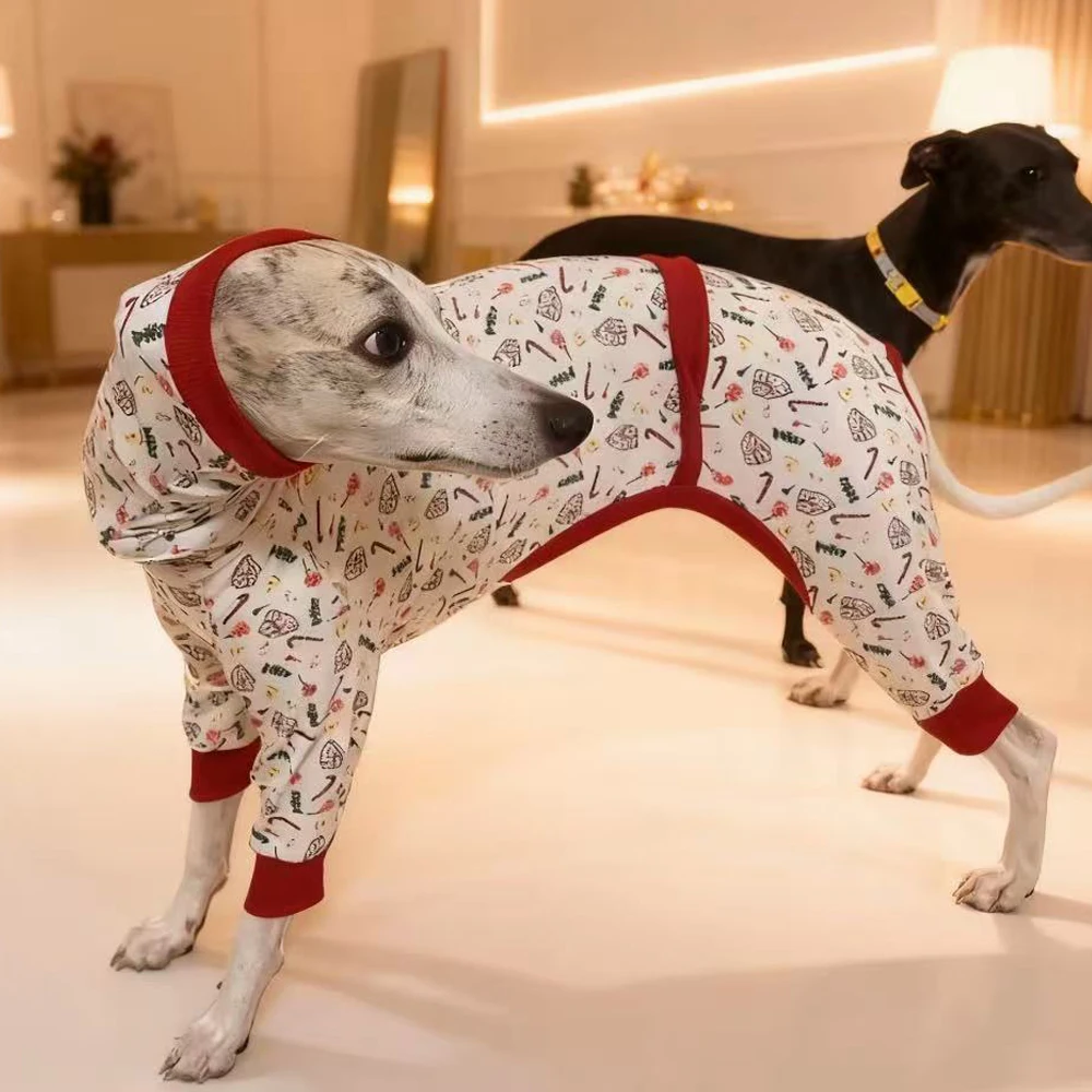 Sudadera suave para Whippet