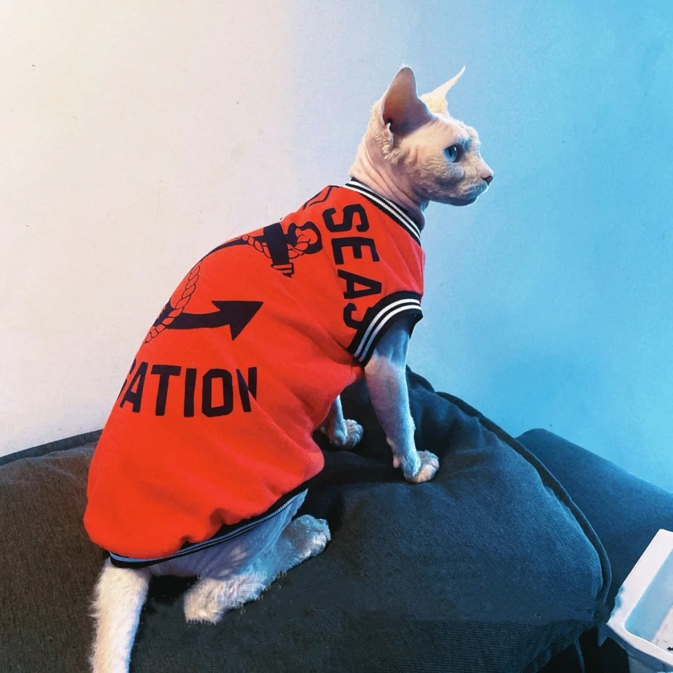 Gato con diseño animado