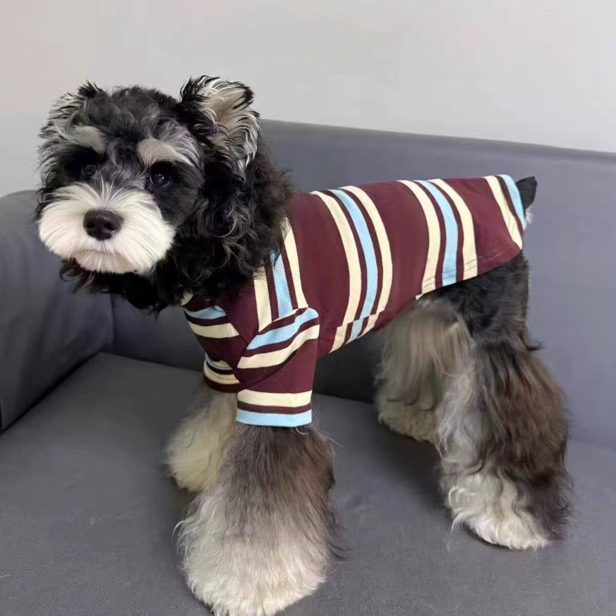 Camiseta algodón rayas para perro pequeño y gato - Ropa de verano
