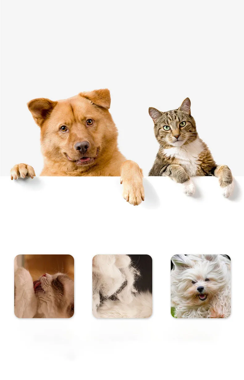 Cepillado de mascotas sin complicaciones