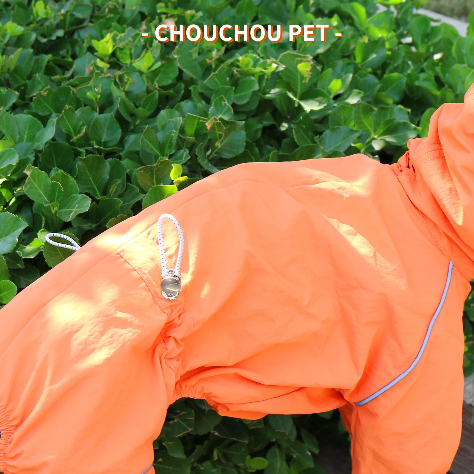 Guía de tallas y medidas para Impermeable Whippet Galgo Italiano