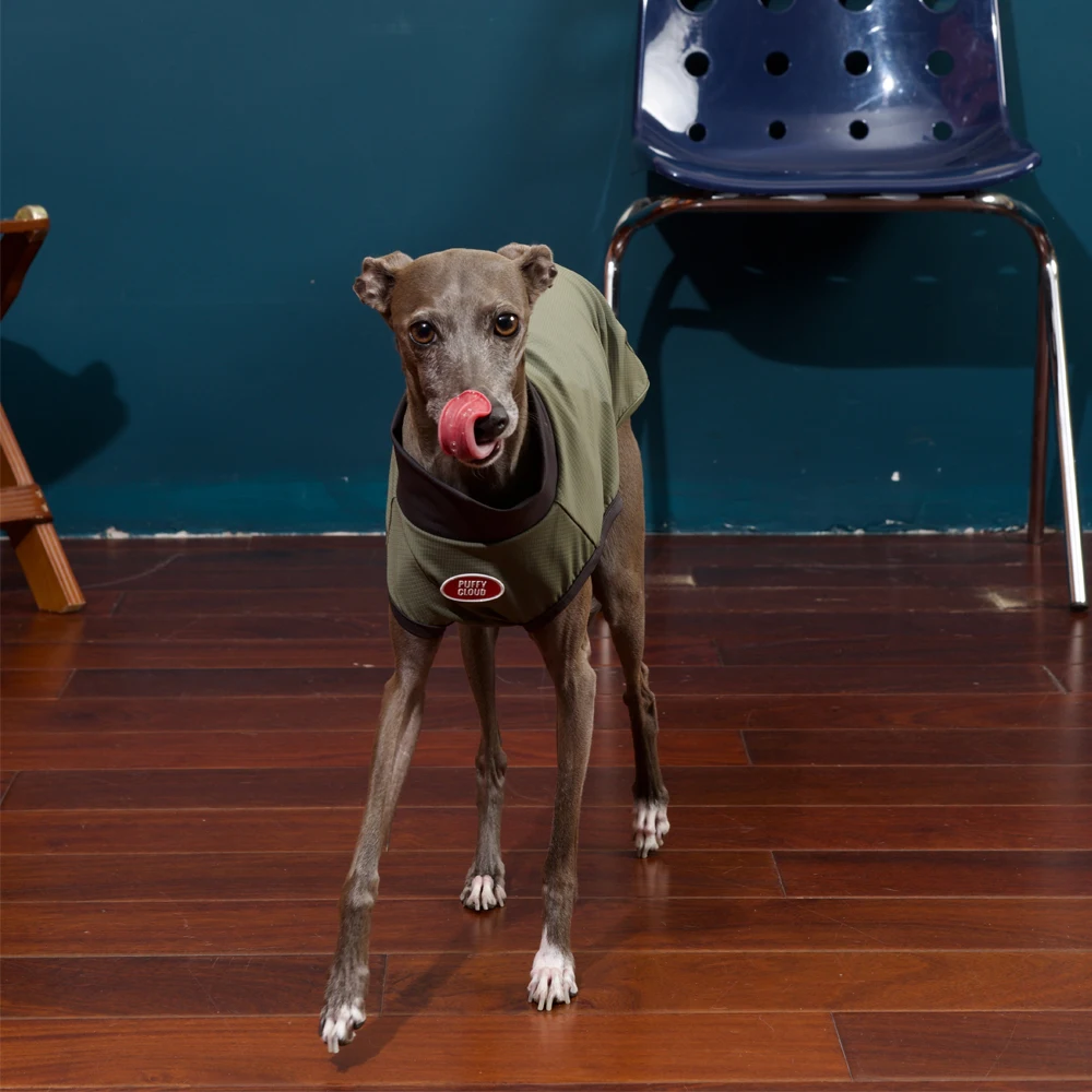 Chaleco perro ultraligero UPF50+ camiseta transpirable verde oscuro - imagen 3
