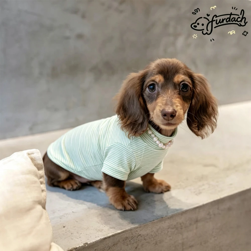 Camiseta de algodón a rayas para perros salchicha Dachshund - imagen 2