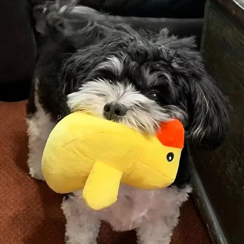 Conjunto de juguetes para cachorros