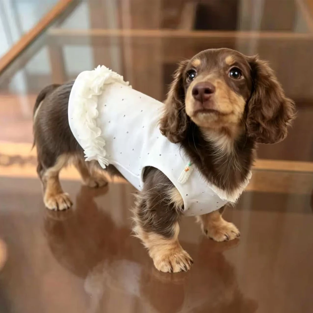 Vestido veraniego con volantes para perras Dachshund – de algodón - imagen 5
