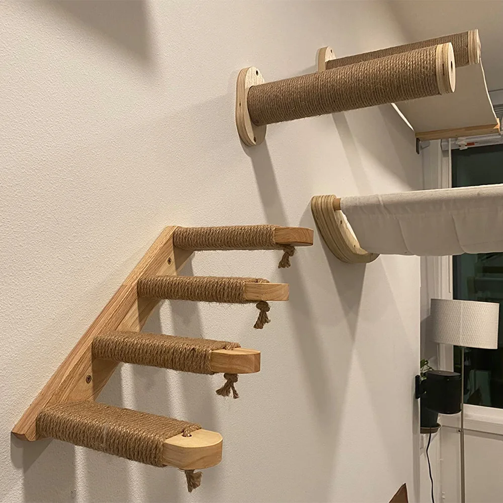 Gato explorando