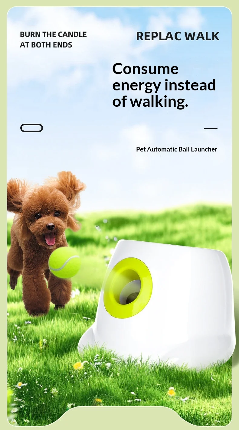 Lanzador automático recargable para pelotas