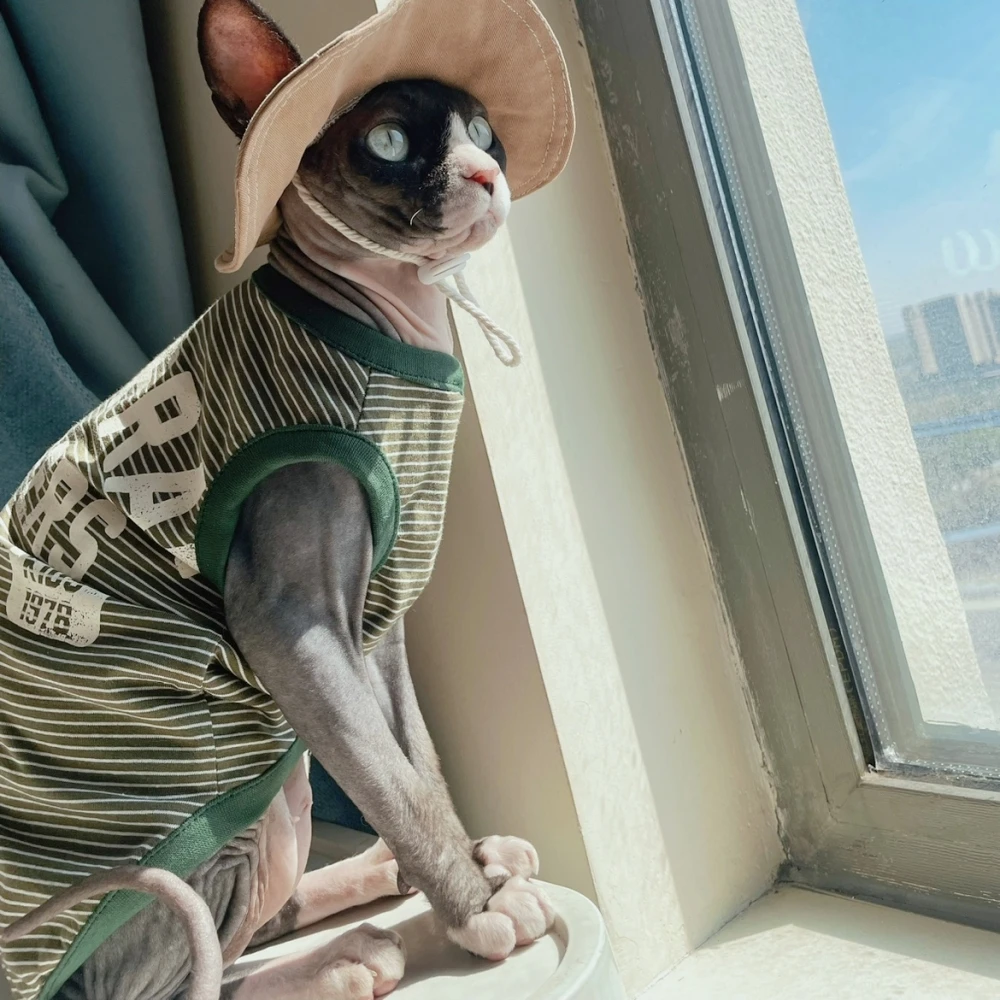 Camiseta para gatos sin pelo