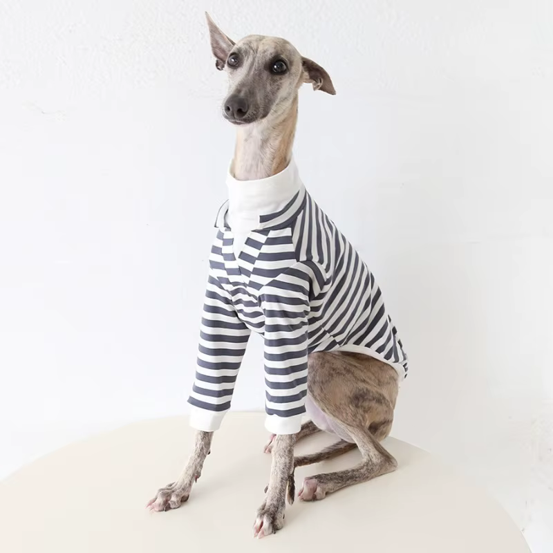 Mono a rayas para perro: Galgo y Whippet – ropa cómoda - imagen 4