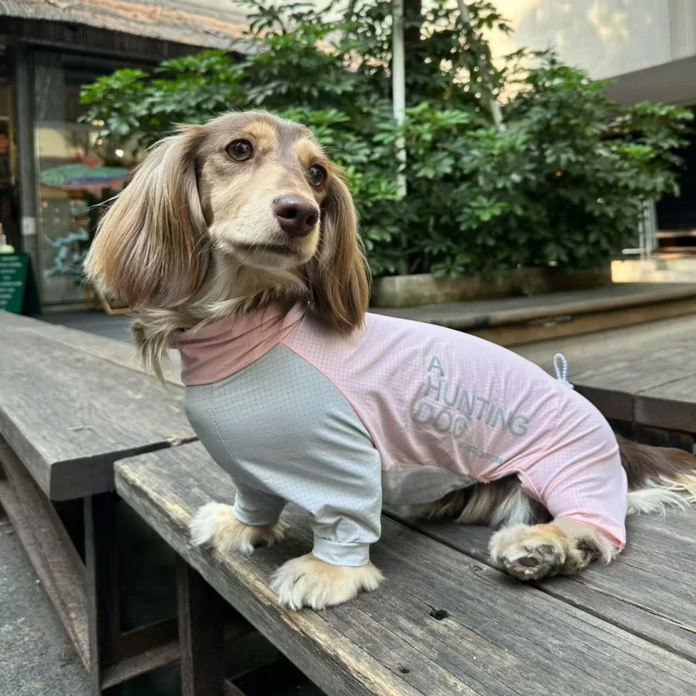 Traje anti-insectos transpirable para Dachshund, verano secado rápido