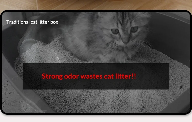 Inodoro portátil para gatos y control de suciedad