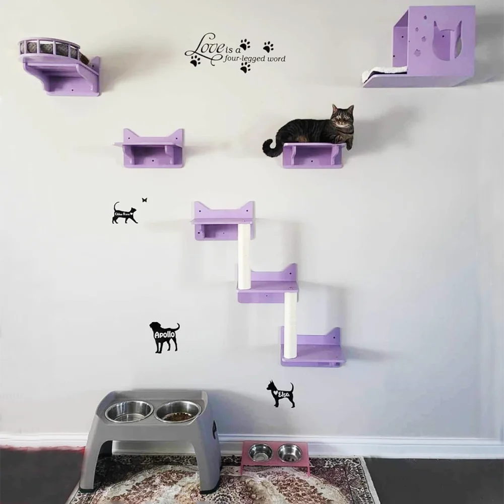 Refugio elevado para gatitos