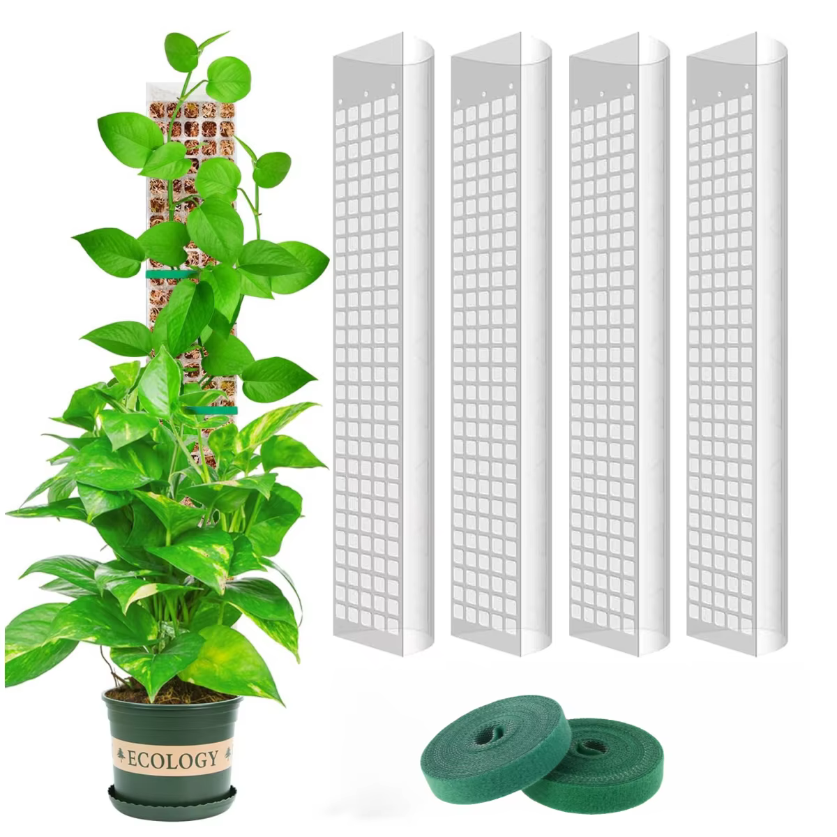 Postes de musgo para plantas trepadoras: soporte de esfagno - imagen 5