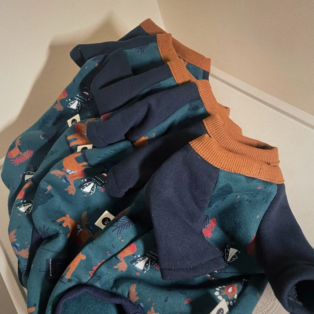 Sudadera verde manga larga para gato Devon Rex en posición relajada