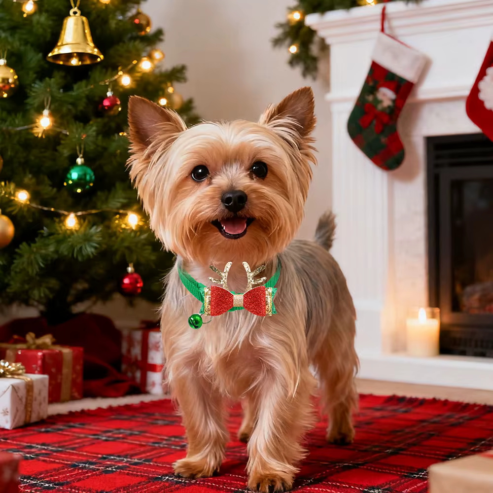 Pack de Lazos Navideños para Perros y Gatos con Campanas - imagen 3